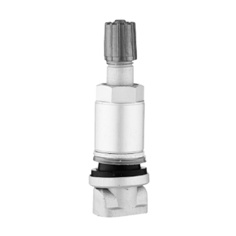 Injap TPMS-TPMS-01
