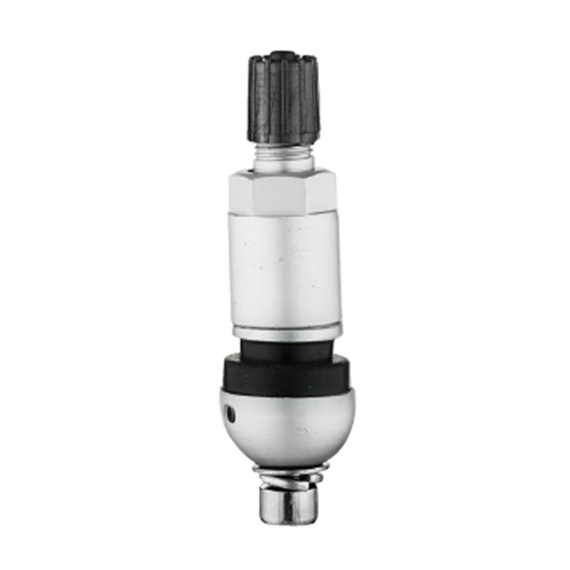 Injap TPMS-TPMS-02