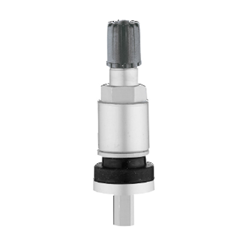 Injap TPMS-TPMS-04B