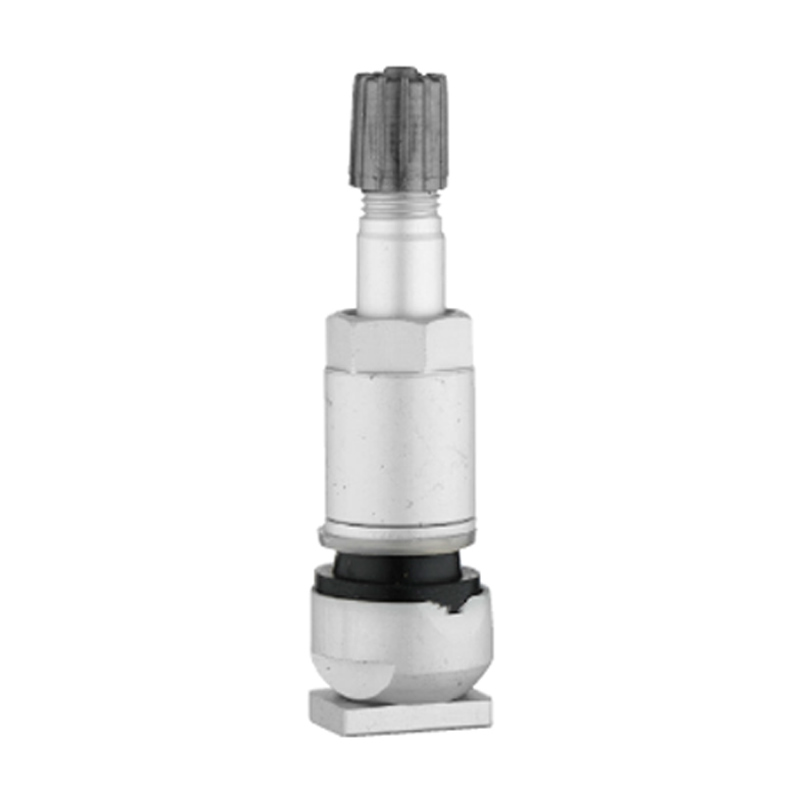 Injap TPMS-TPMS-06