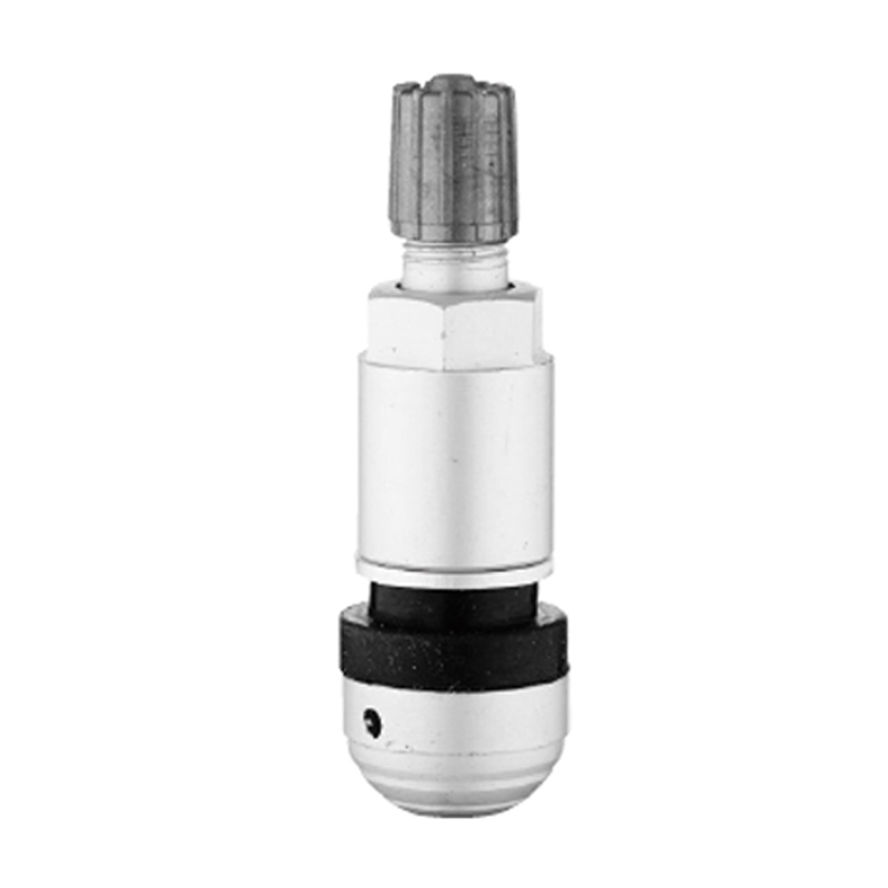 Injap TPMS-TPMS-09